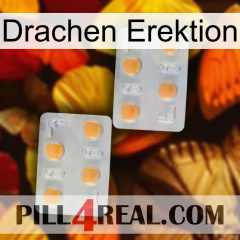 Dragon Erection 25